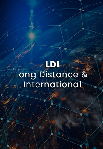 Long Distance & International (LDI)